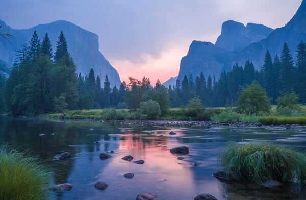 Leśna ścieżka w spokojnym naturalnym otoczeniu